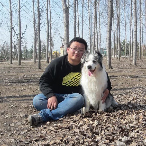 澳洲牧羊犬加拿大登录冠军